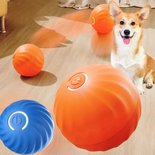 Interactive Automatic Dog Toy